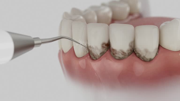Reliable Dental contractor in Los Lunas, NM by Dentist Open Now